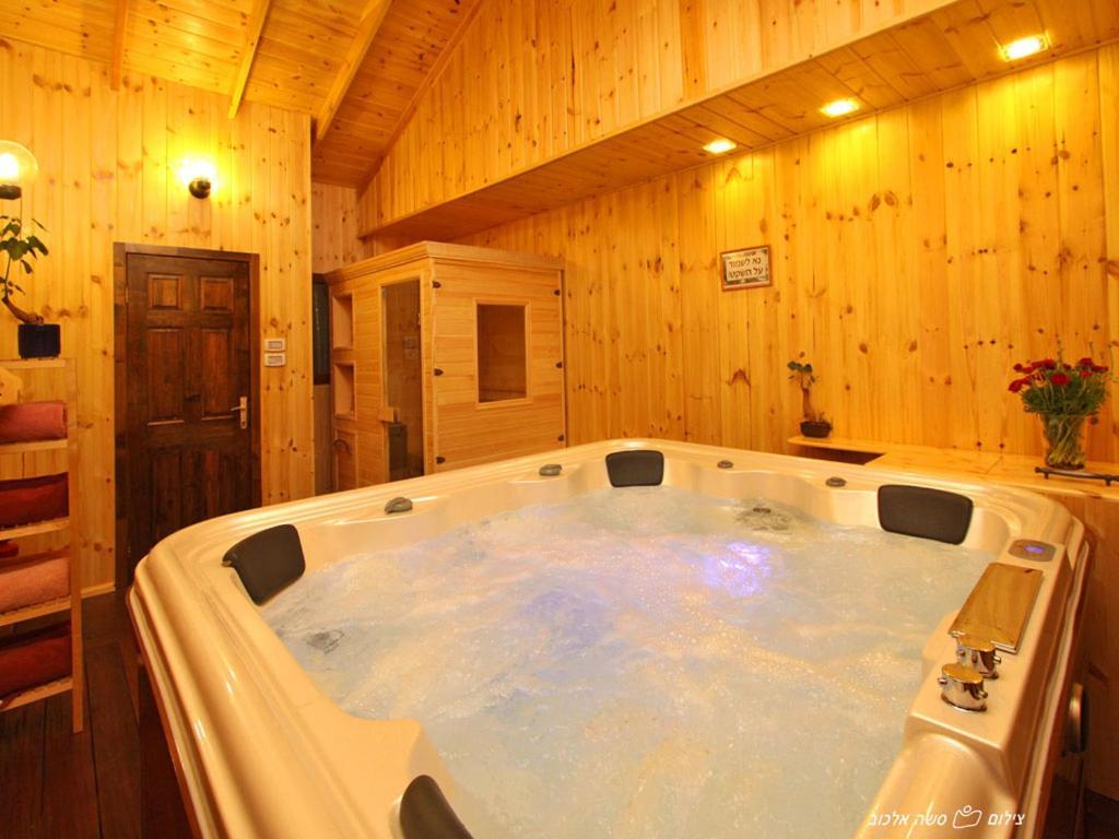 Suites & Spa Galilee キリヤット・シュモナ エクステリア 写真